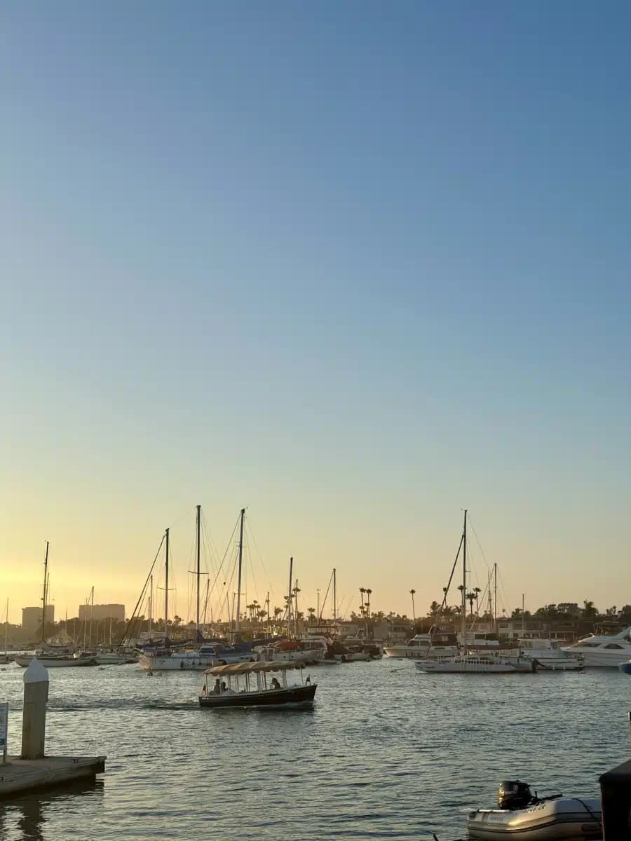 Asana Recovery - Thumbnail 5