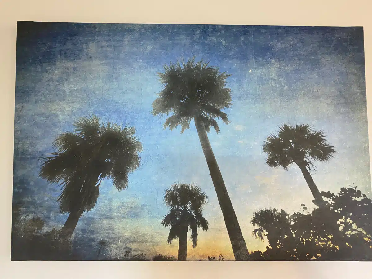 Banyan Palm Springs LLC - Thumbnail 9