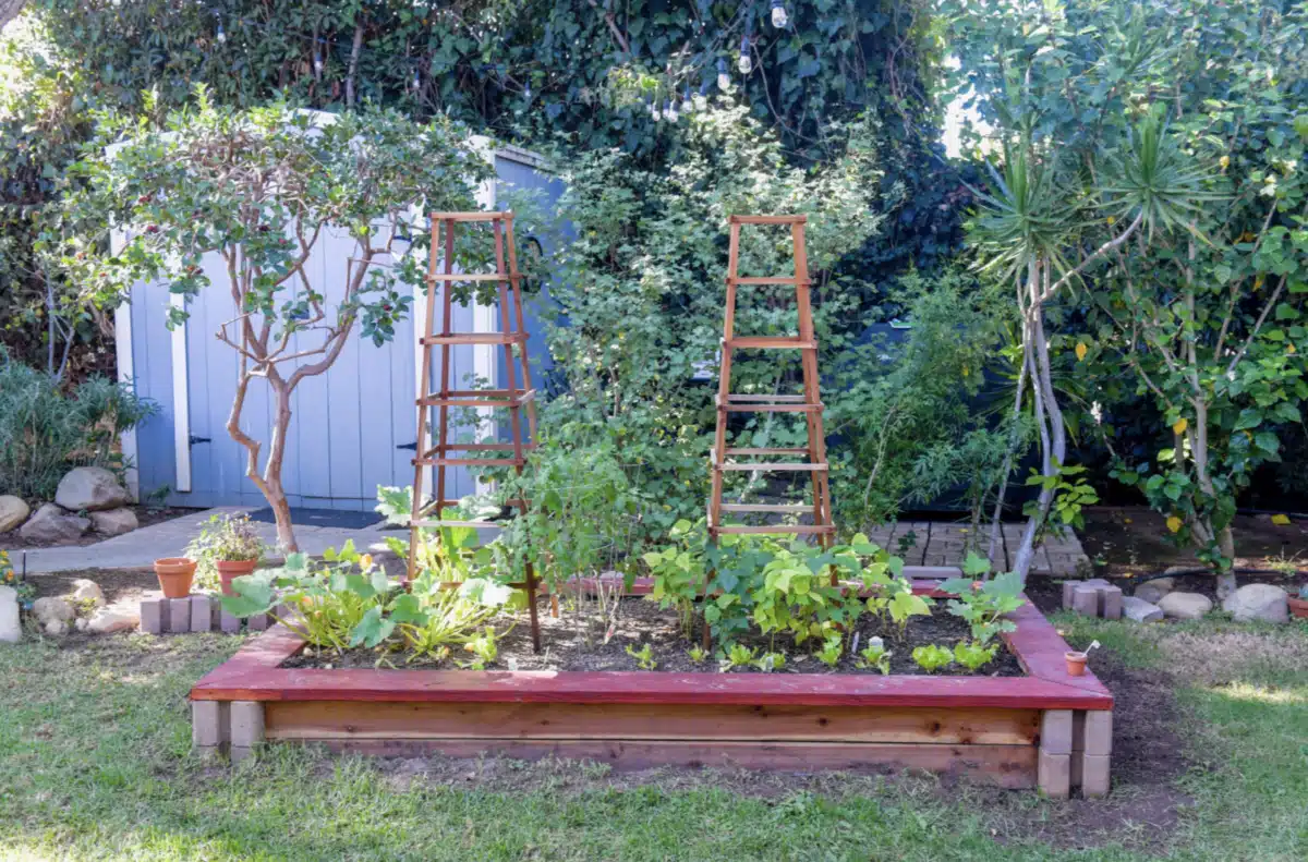 Casa Serena - Thumbnail 6