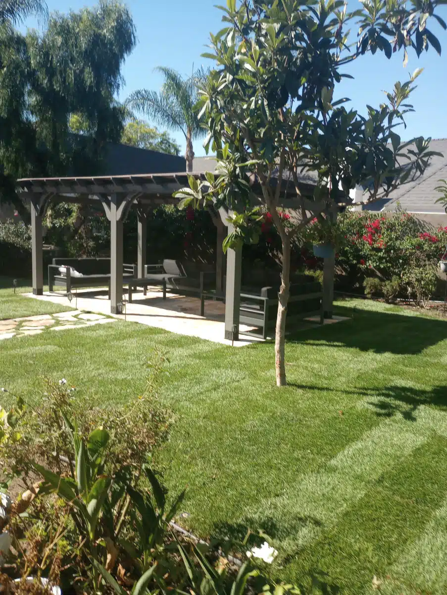 Chabad Residential - Thumbnail 7