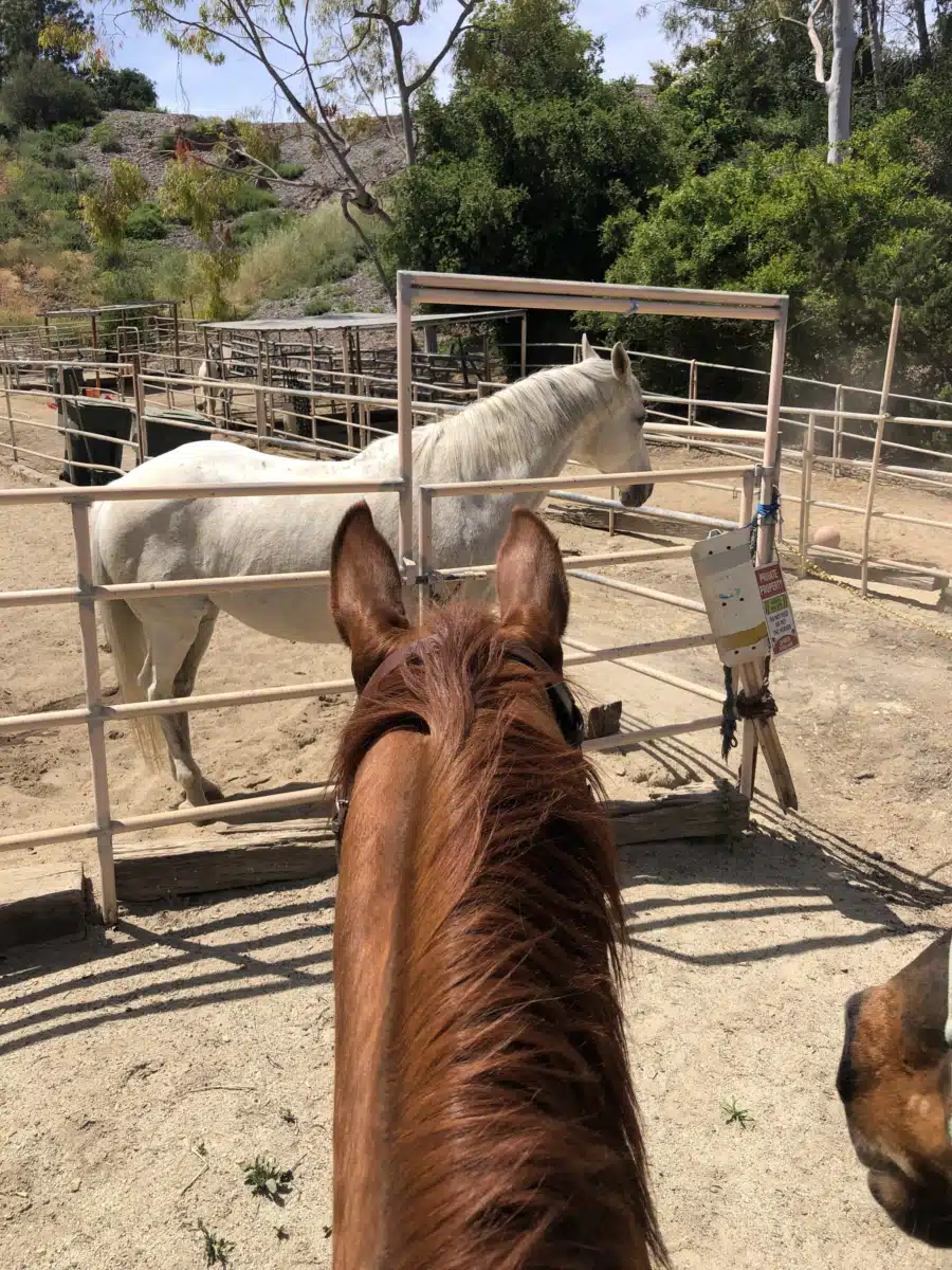 Clean Treatment Center - Thumbnail 7