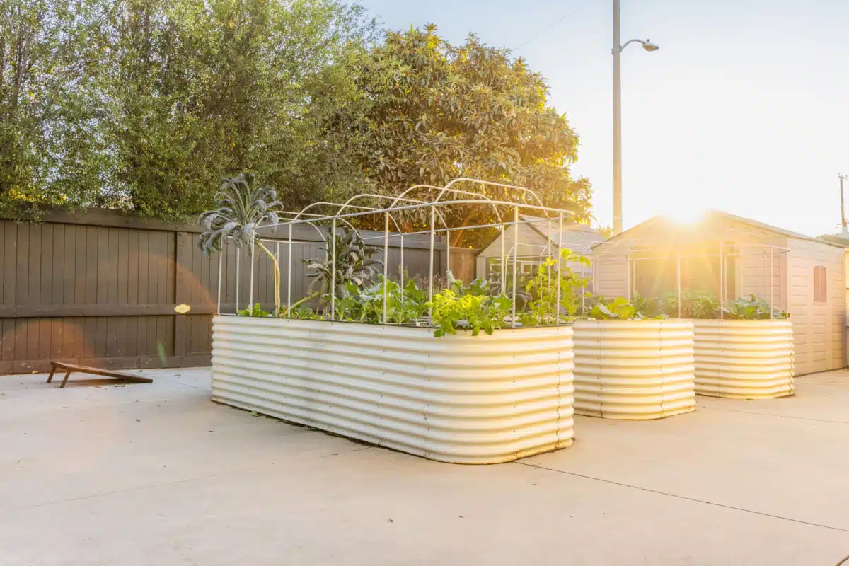 Divine Bliss - Thumbnail 5