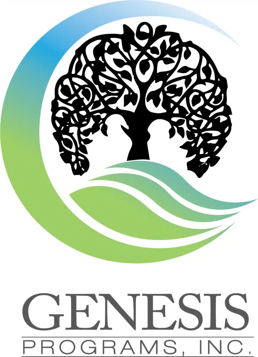 Genesis Programs Inc - Thumbnail 3