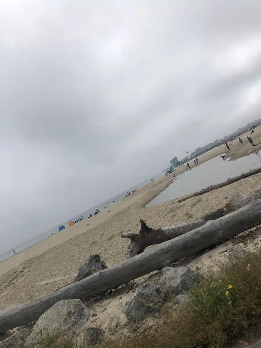 Janus of Santa Cruz - Thumbnail 4