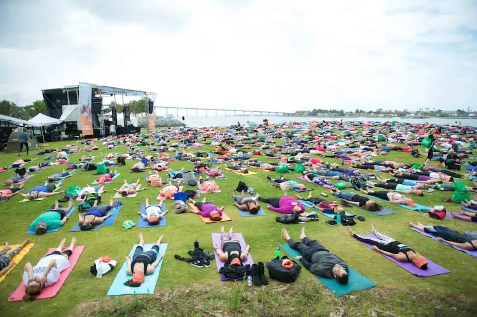 Kali West LLC - Thumbnail 5