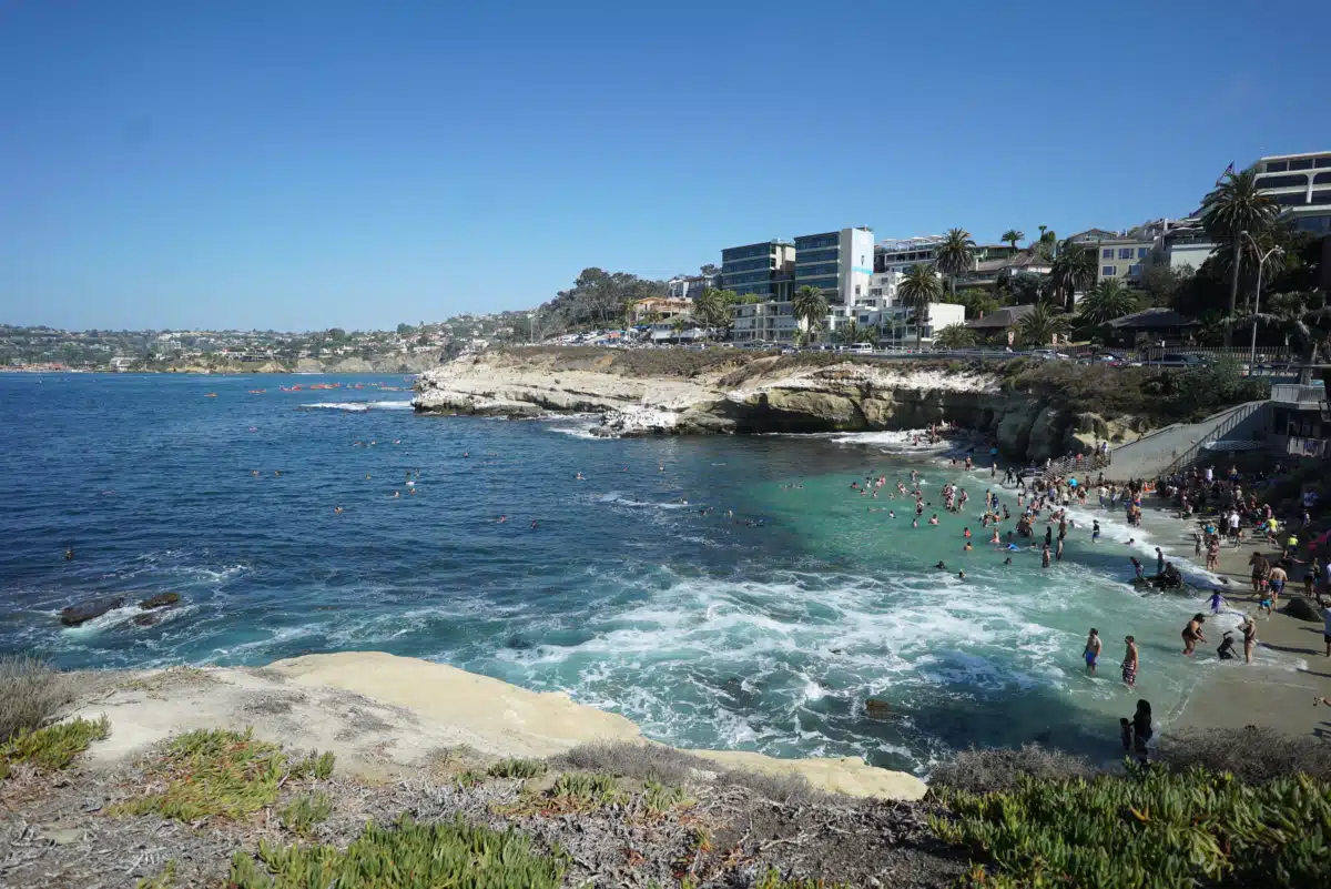 La Jolla Recovery - Thumbnail 4
