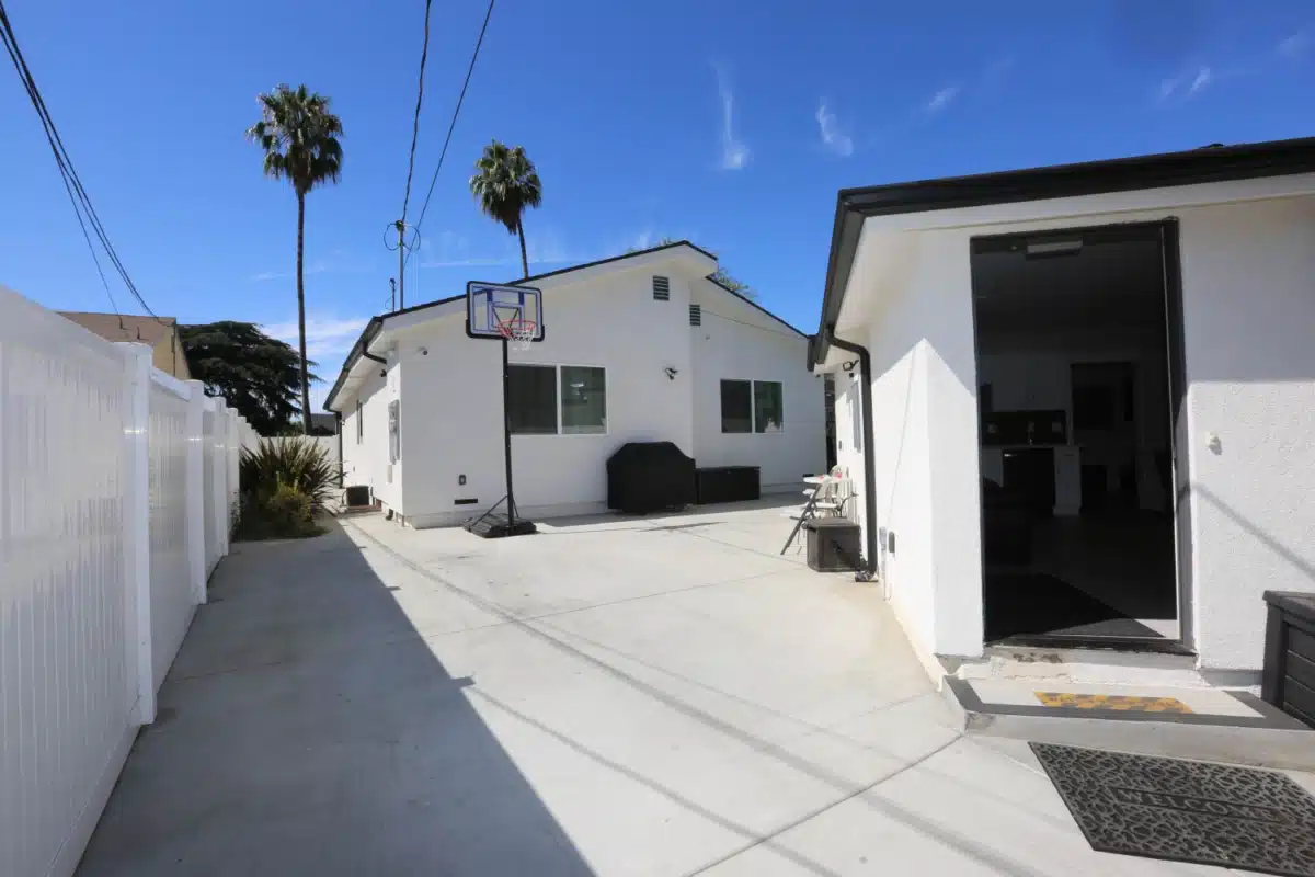 Lion Recovery - Hero Image