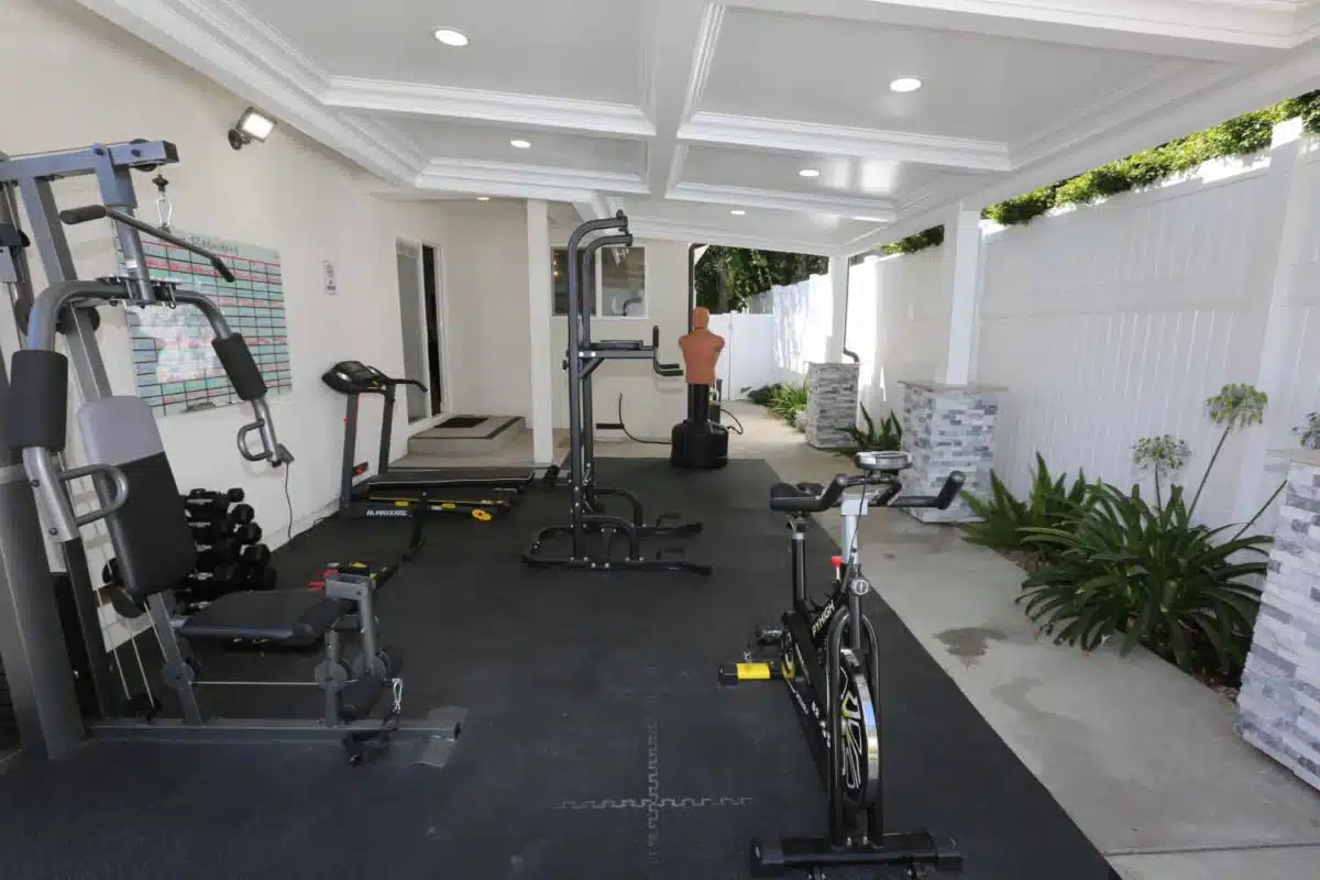 Lion Recovery - Thumbnail 6