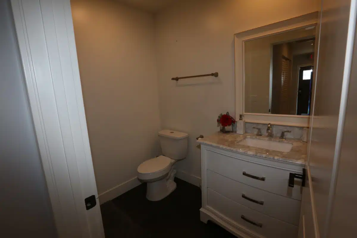 Lion Recovery - Thumbnail 8