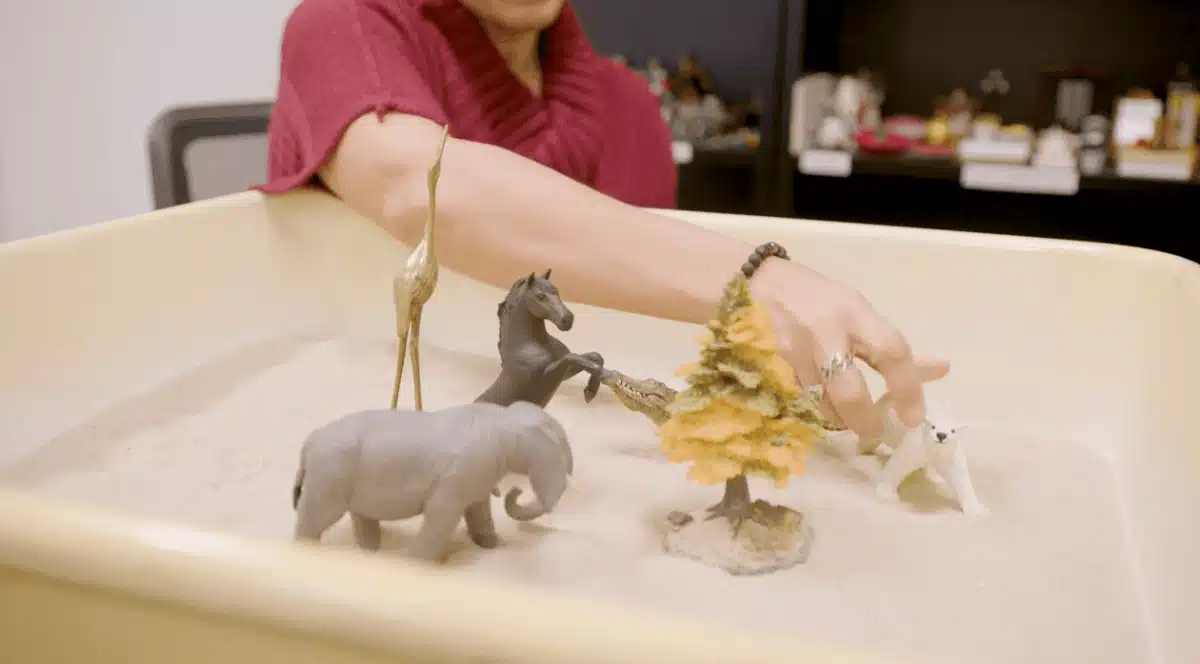 Mariposa Women and Family Center - Thumbnail 9