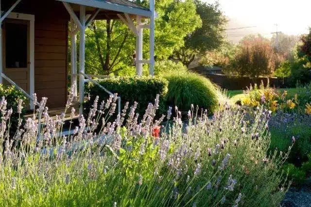 Mountain Vista Farm - Thumbnail 6