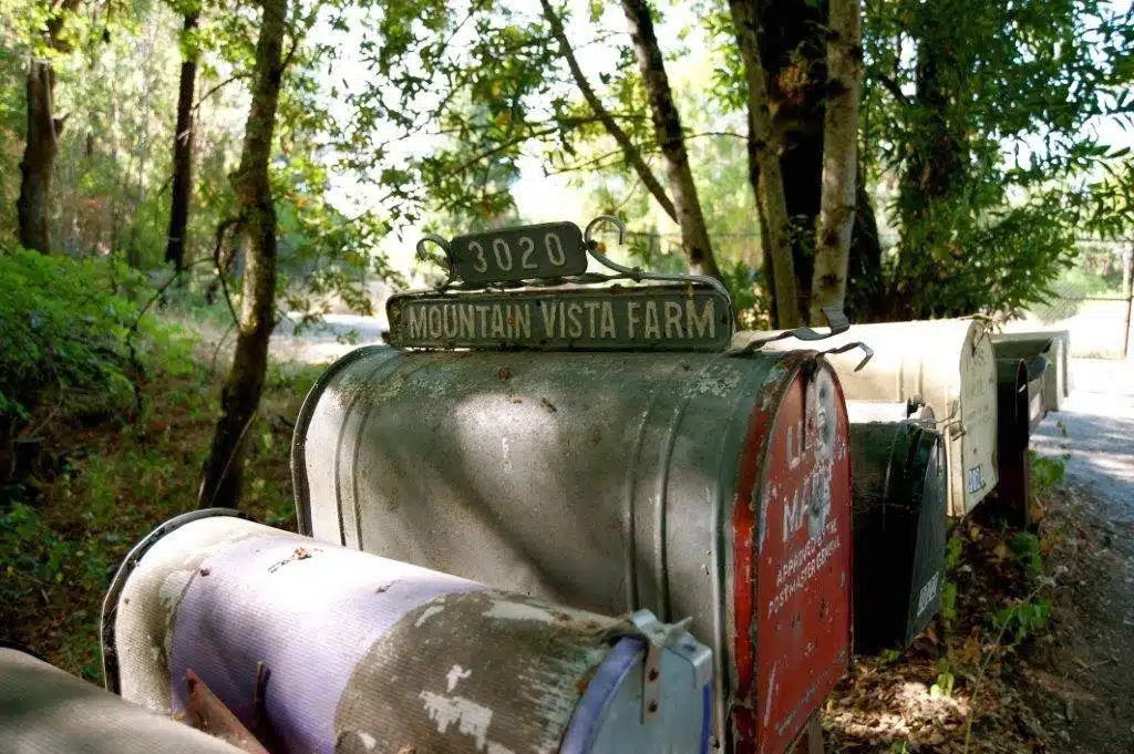 Mountain Vista Farm - Thumbnail 8