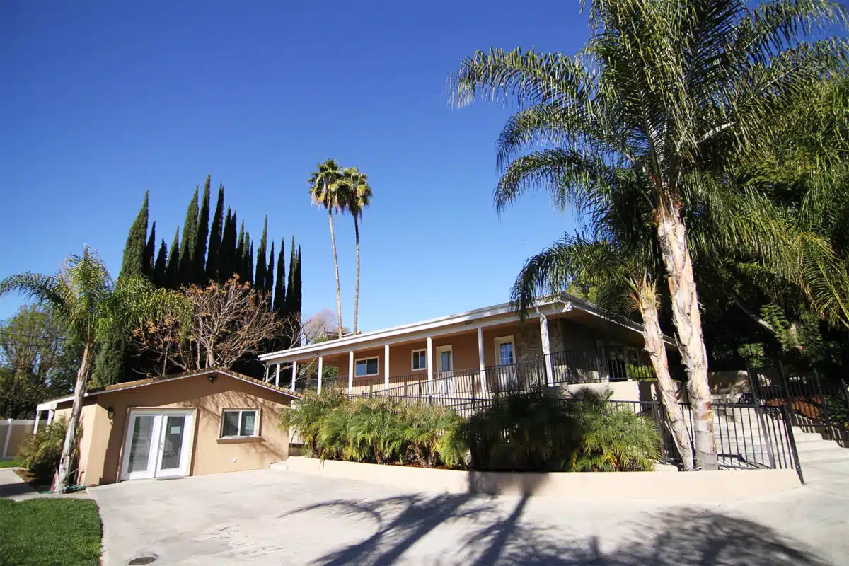 New Creation - Preview