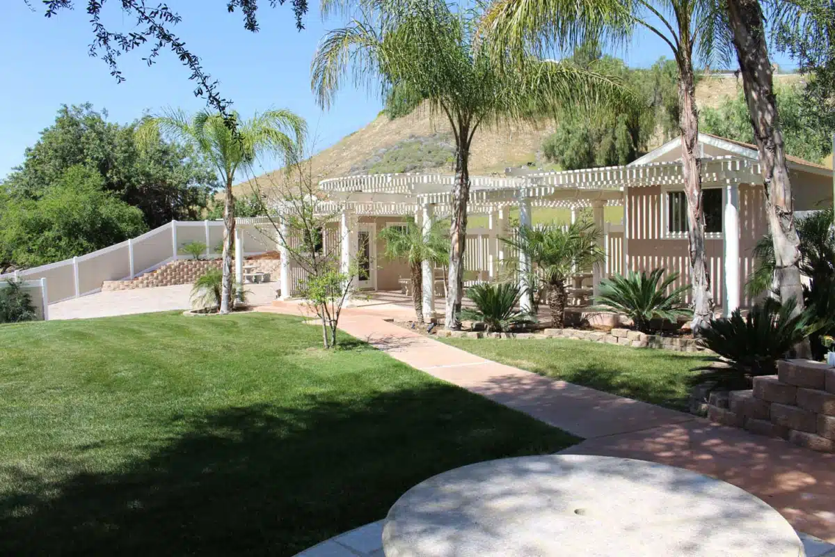 New Creation - Thumbnail 5