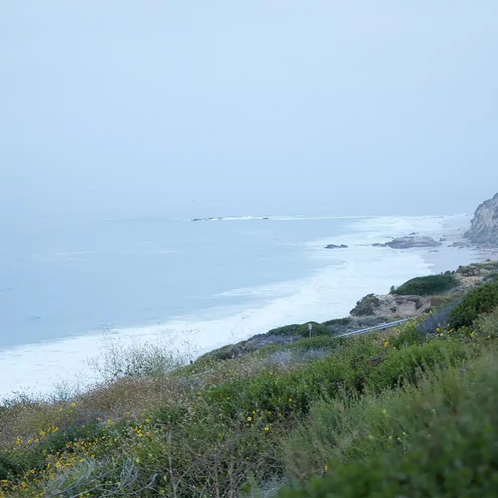 Newport Academy - Thumbnail 5