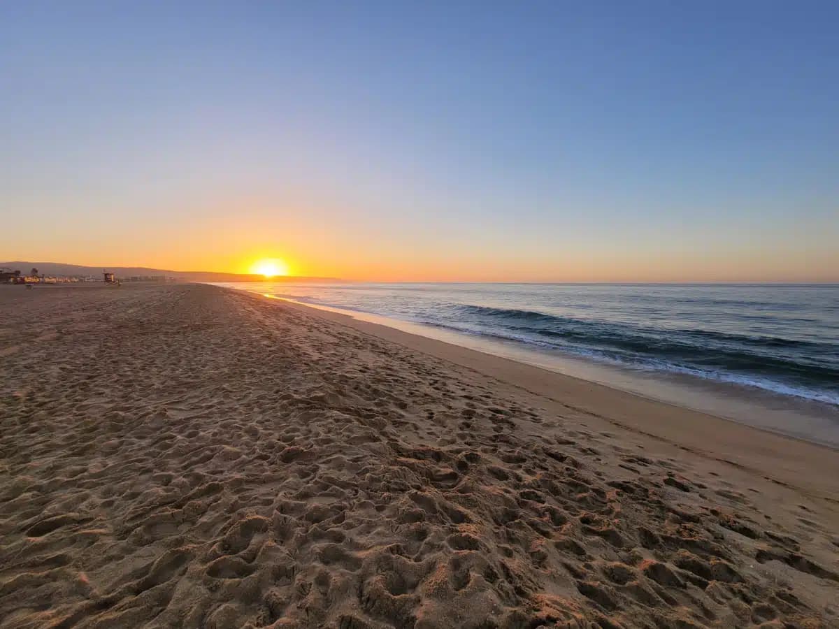 Ocean Recovery - Thumbnail 7