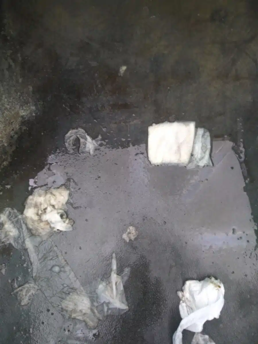 Orange County Healthcare Agency - Thumbnail 3