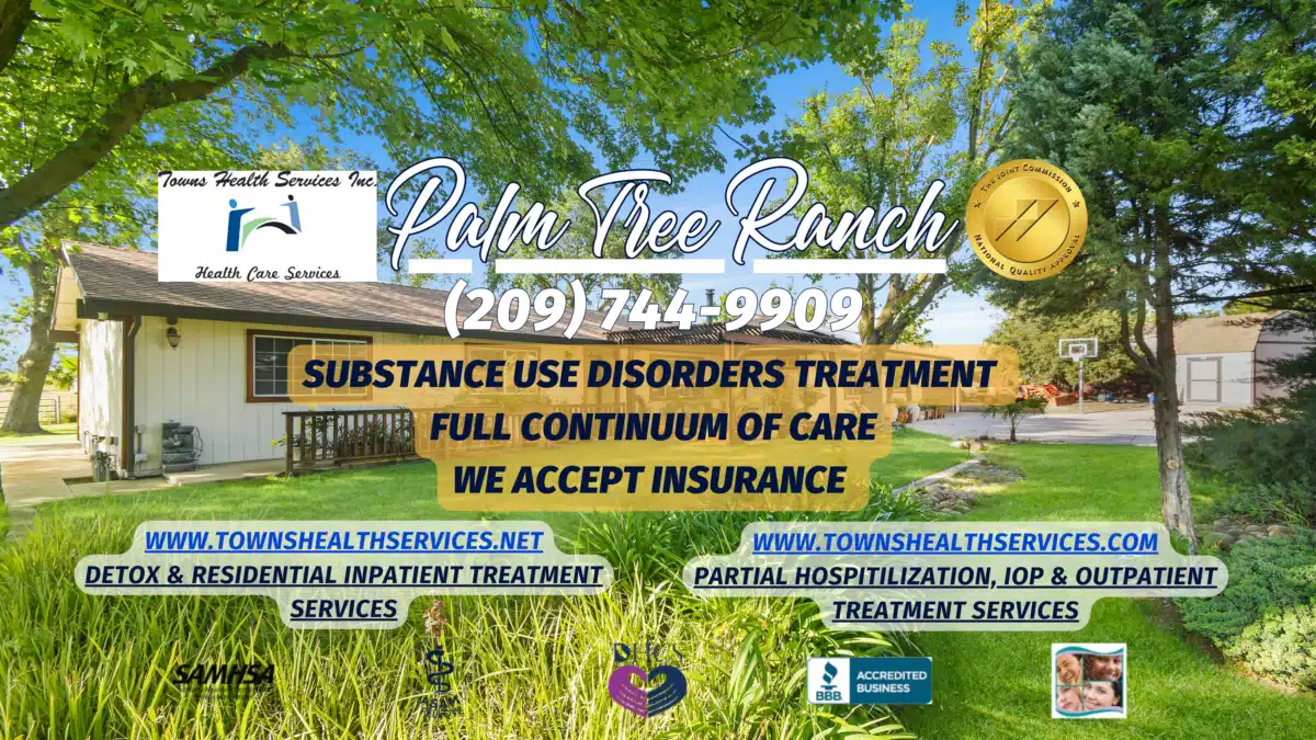 Palm Tree Ranch - Thumbnail 5