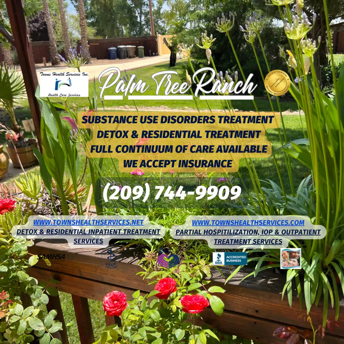 Palm Tree Ranch - Thumbnail 7