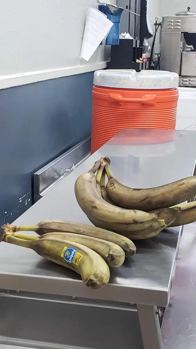 Phoenix House - Thumbnail 6