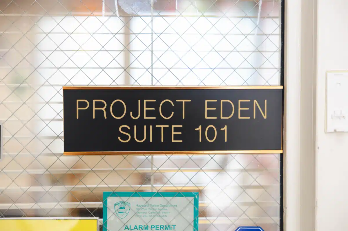 Project Eden - Thumbnail 8