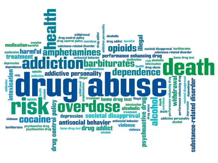 REACH Project - Thumbnail 6