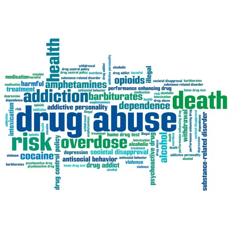 REACH Project - Thumbnail 8