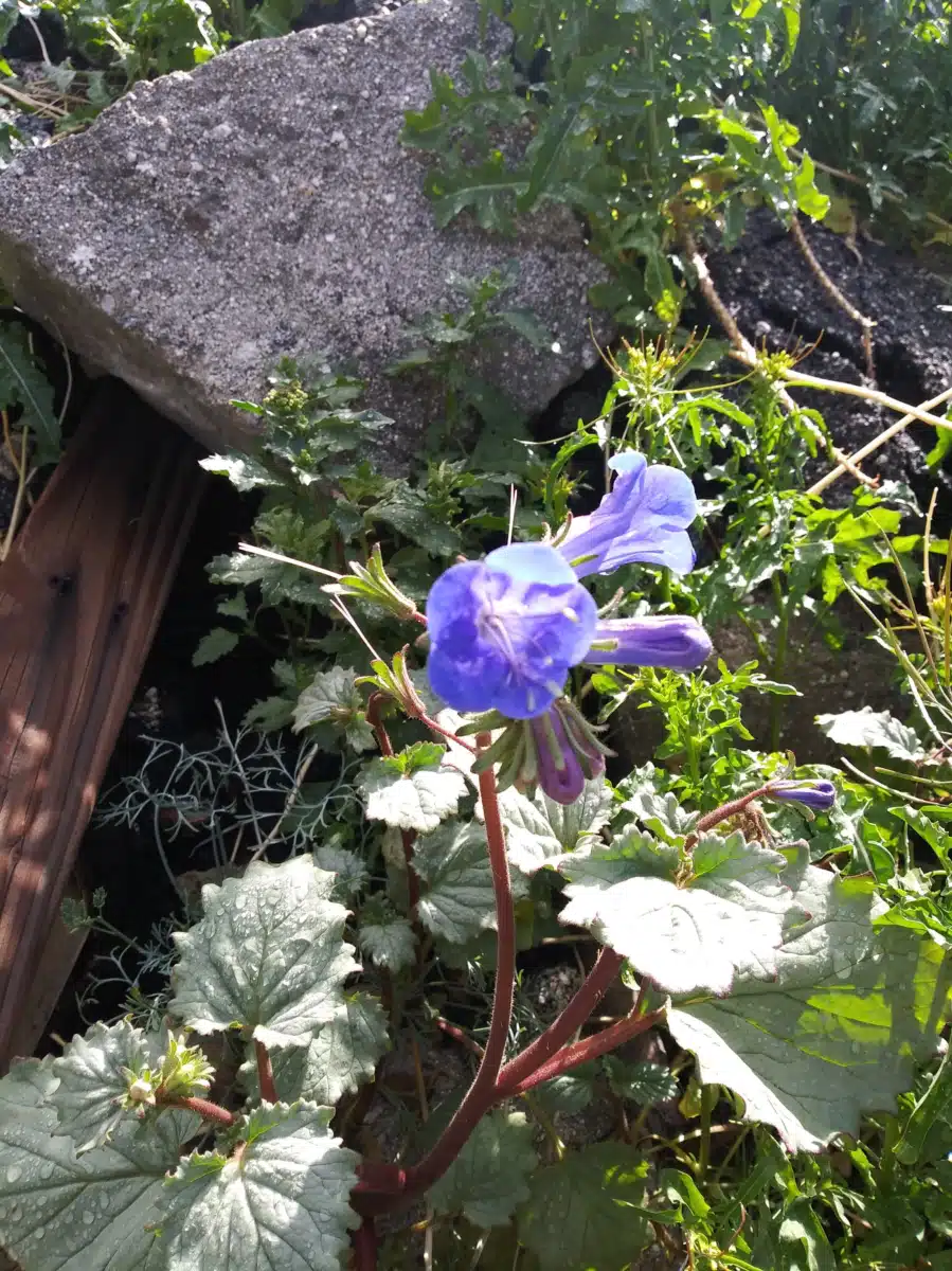 Ranch Recovery Centers Inc - Thumbnail 4