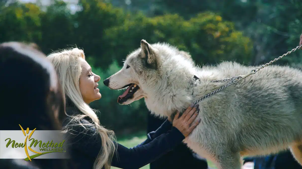 New Method Wellness - Preview